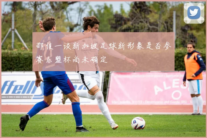 邵佳一谈新加坡足球新形象是否参赛东盟杯尚未确定