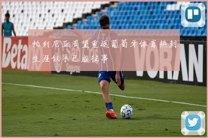 帕利尼亚渴望重返葡萄牙体育热刺生涯似乎已成往事
